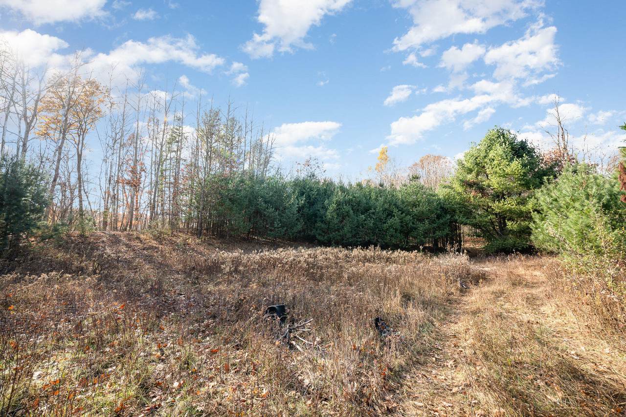 10195 Church Road - Photo 1