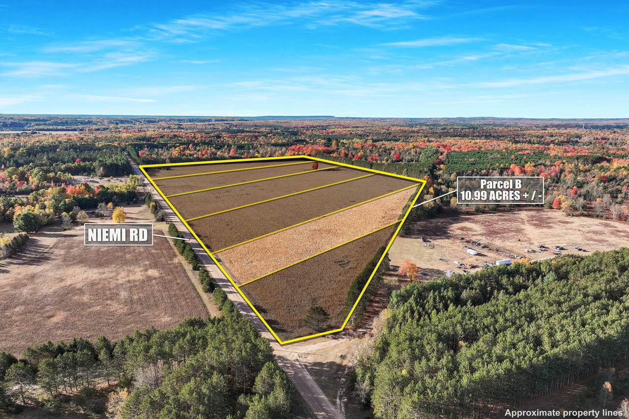 0 V/L 10.99 Acres Niemi Road - Photo 1