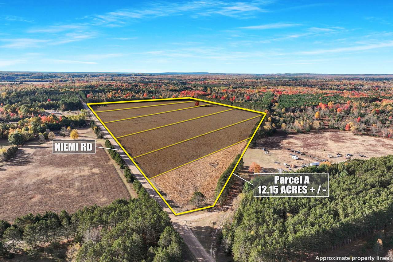 0 V/L 12.15 Acres Niemi Road - Photo 1