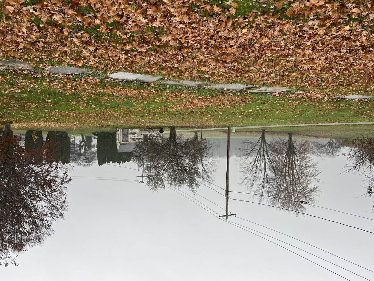 311 George Street - Photo 1