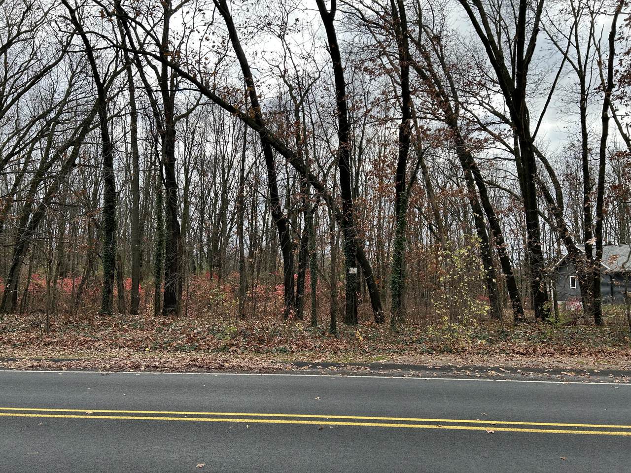 1819 Schuring Road - Photo 1