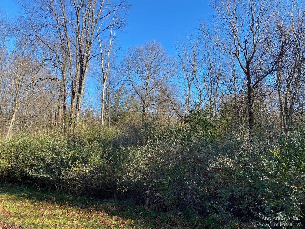 9010 Timber Lane - Photo 1