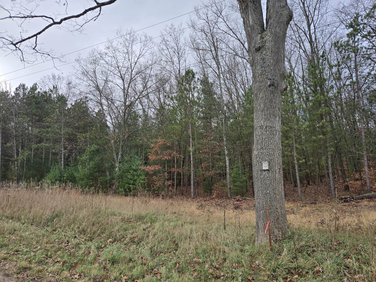 VL Felch Avenue - Photo 1