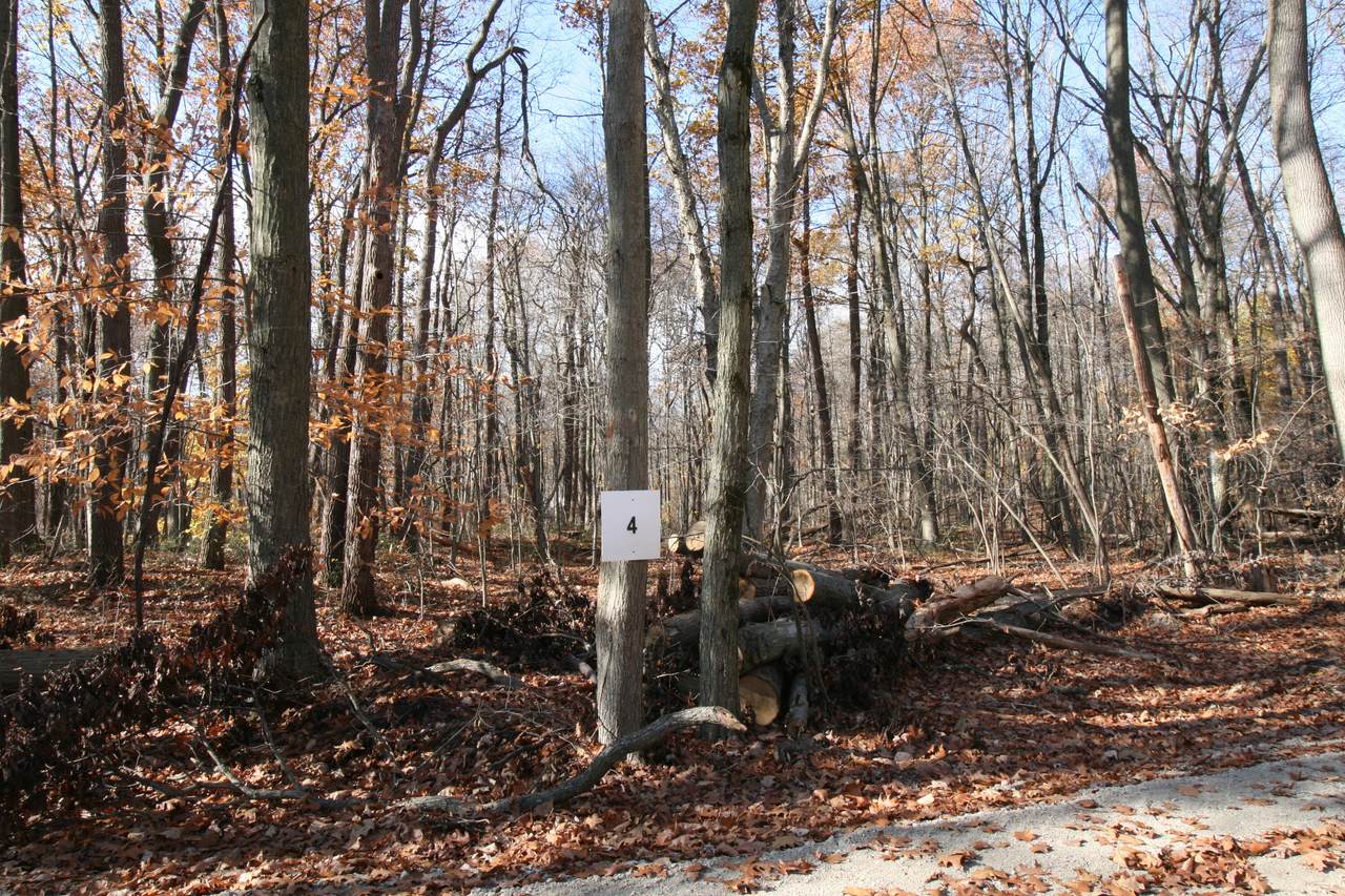 3248 Westwood Trail - Photo 1