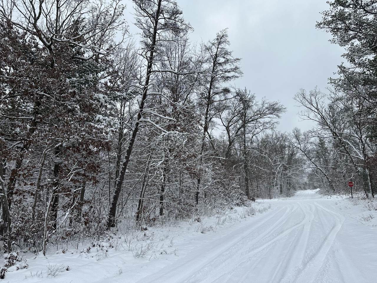 2569 Lakewood Grove Drive - Photo 1
