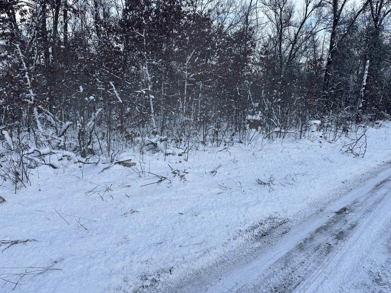 2533 Ann Street - Photo 1