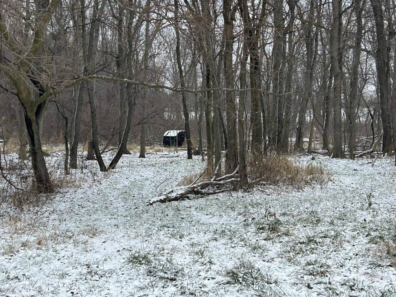 0 V/L Homer Road - Photo 1