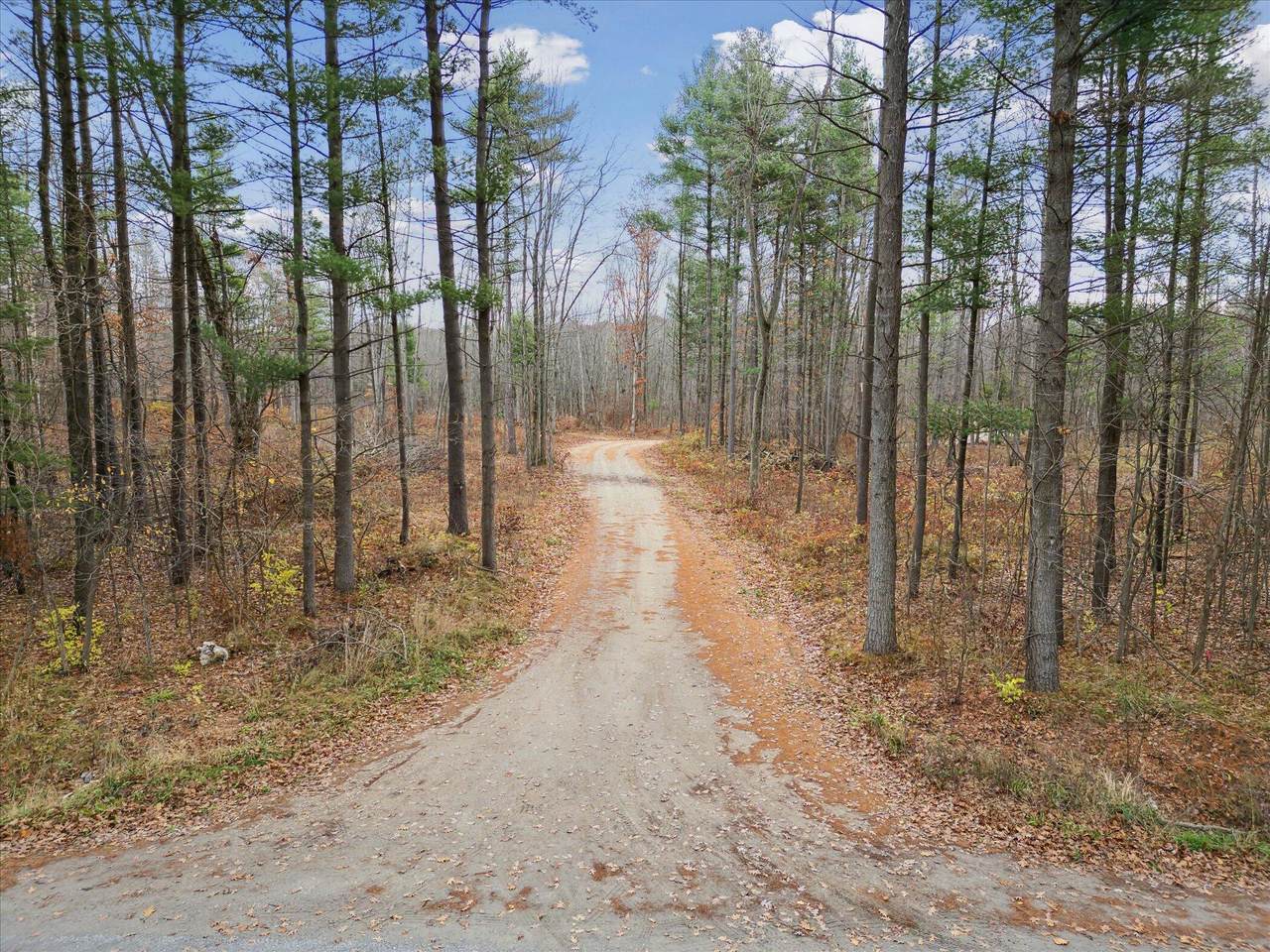 V/L Behler Road - Photo 1