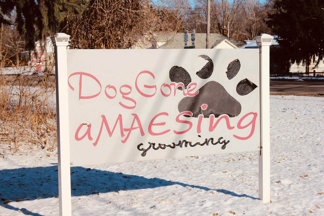 2440 Shirley Drive - Photo 1