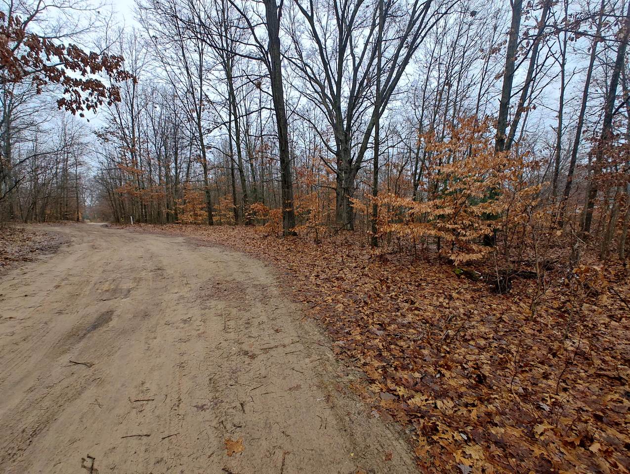 VL Co Rd 388 - Photo 1