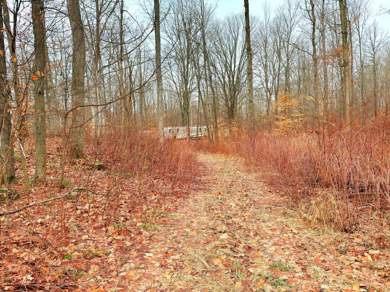 13578 15 Mile Road - Photo 1