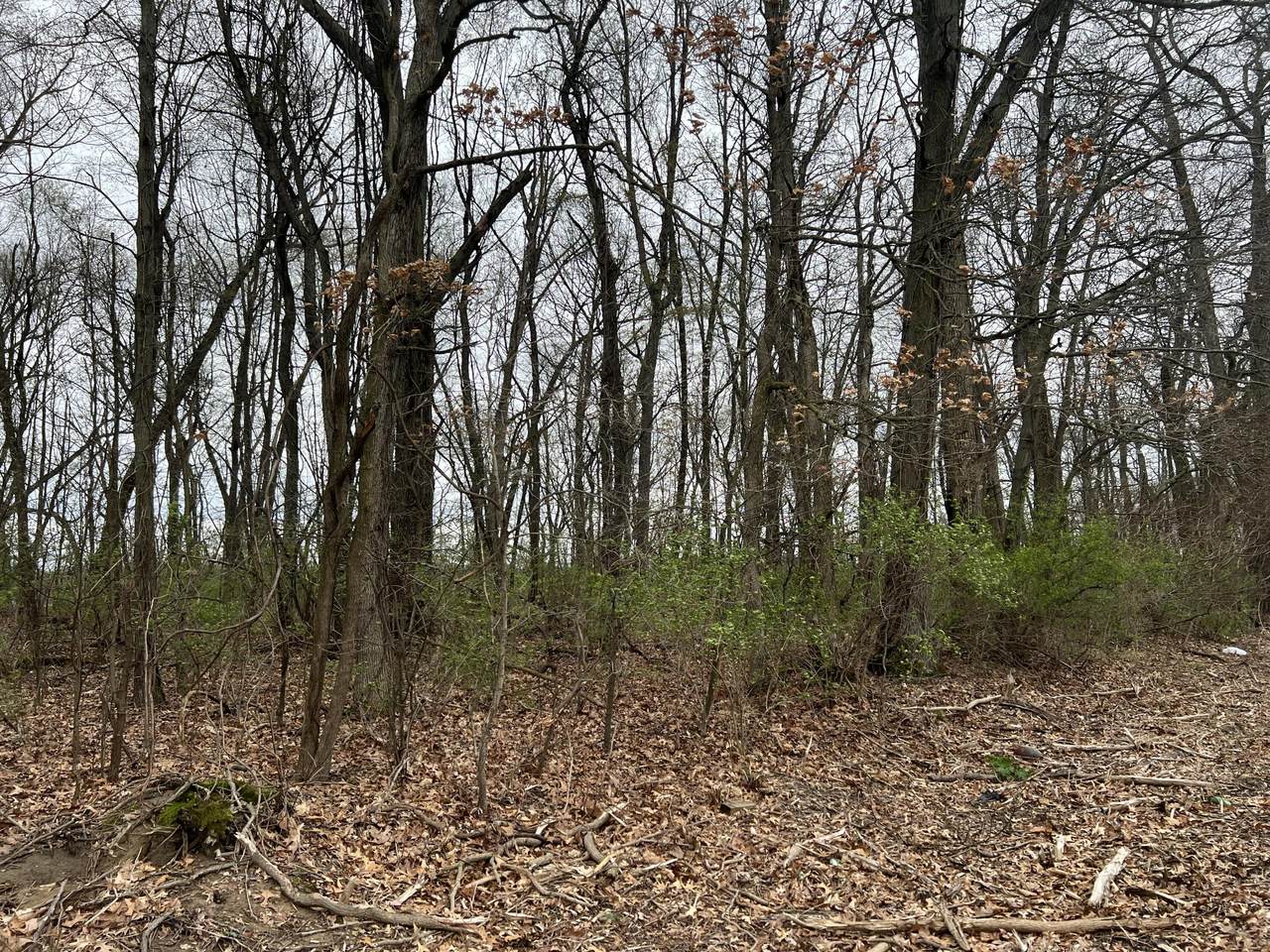 V/L Crystal Springs Street - Photo 1