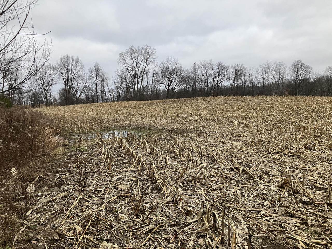 00 Jerusalem Road - Photo 1