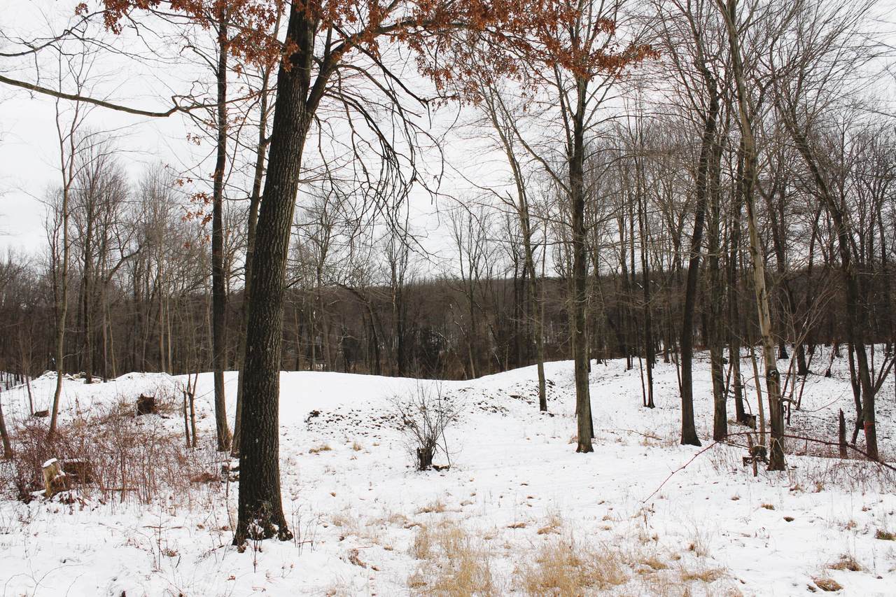  Sugar Creek Lot 36 - Photo 1