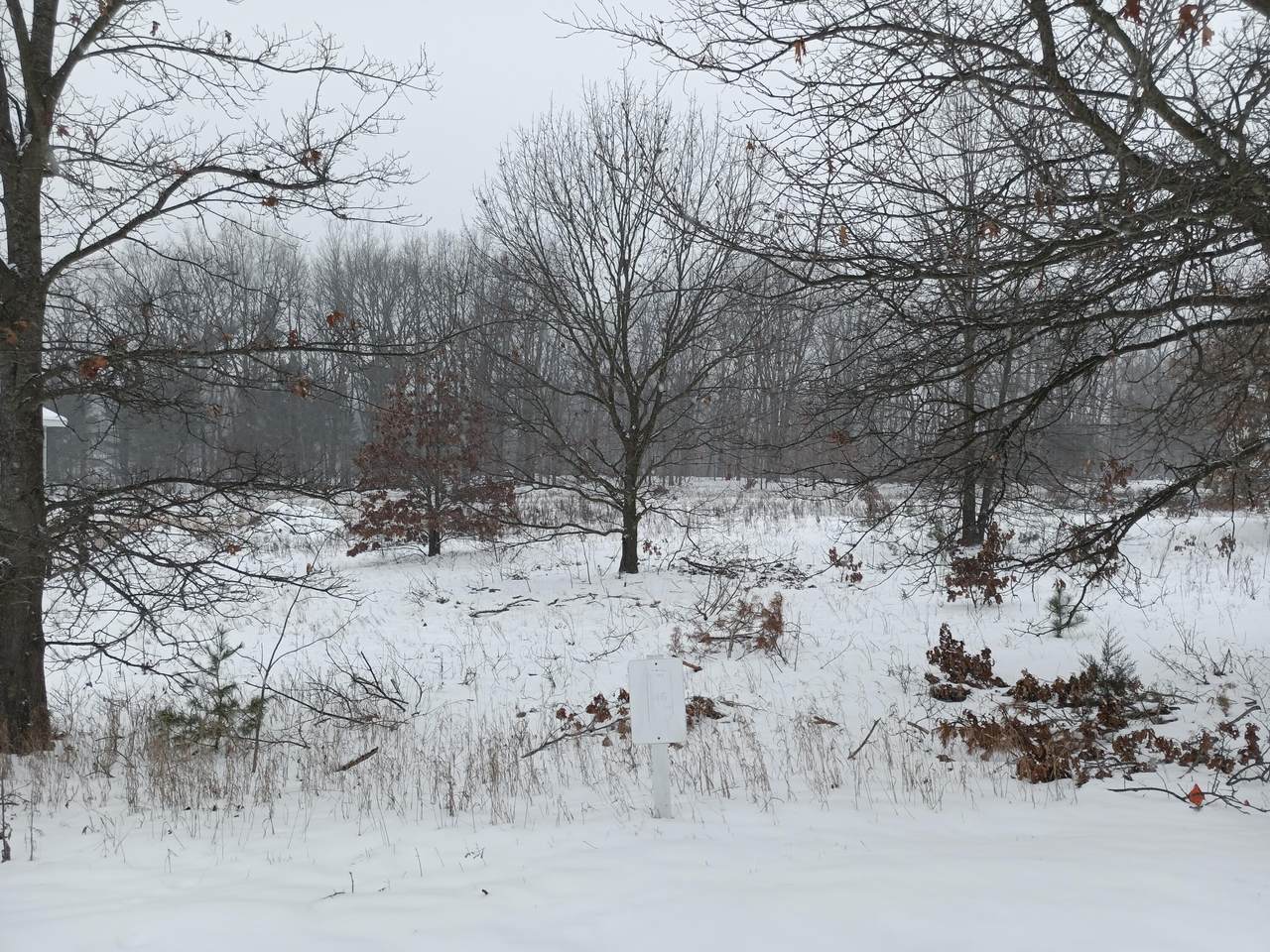 3313 Autumn Trail - Photo 1