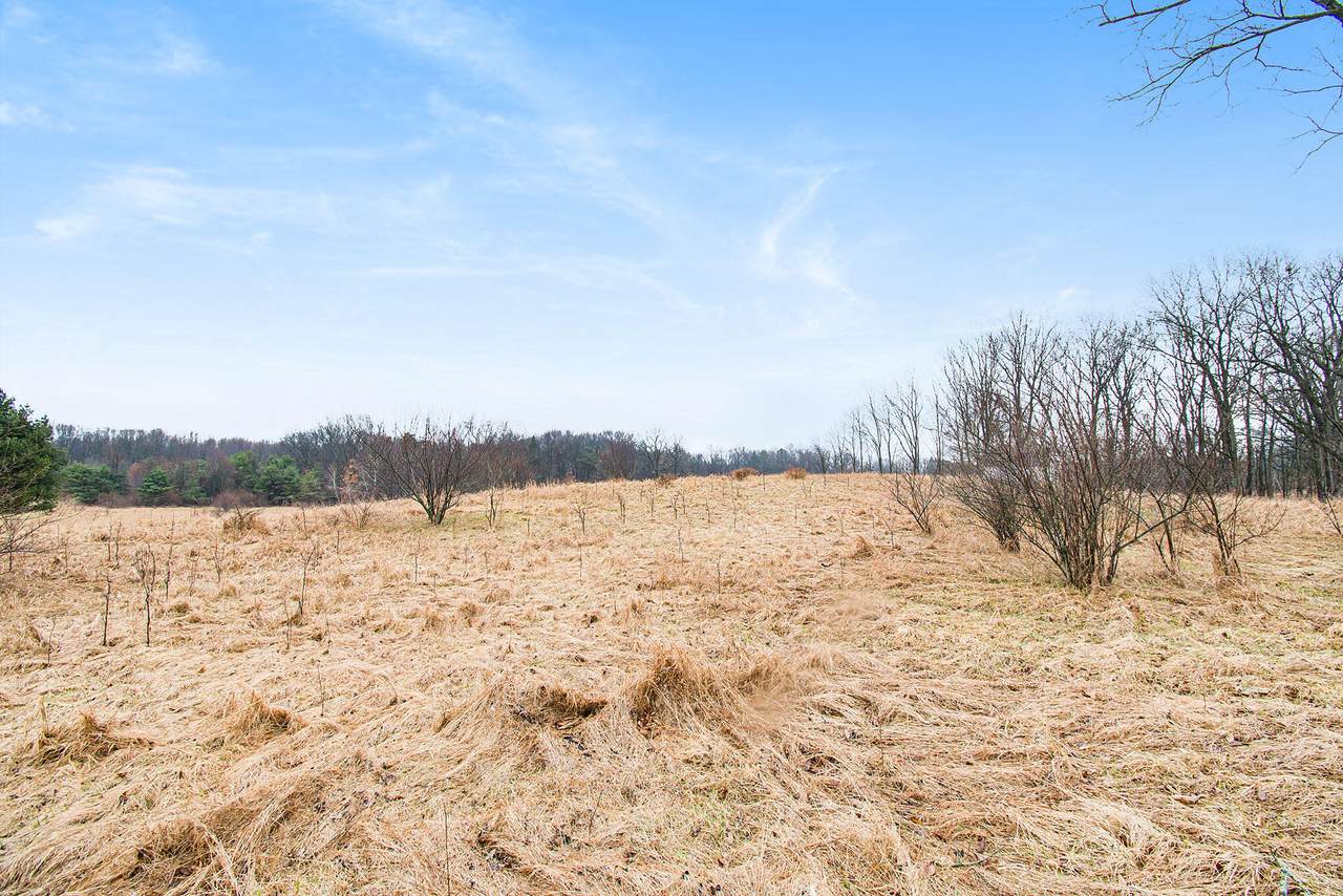 v/l Lucas Road - Photo 1