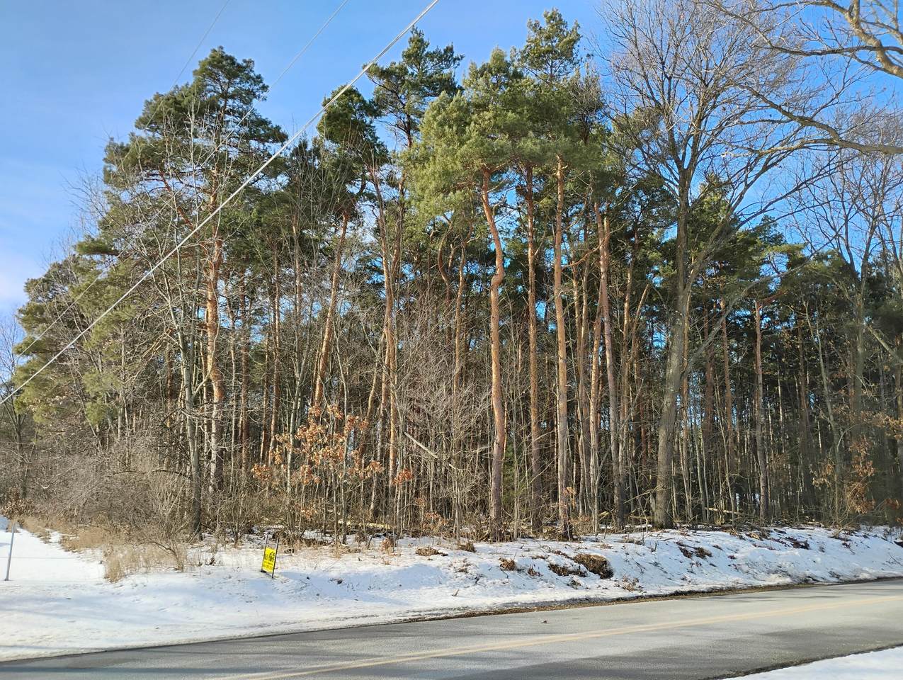 7215 Chandler Drive - Photo 1