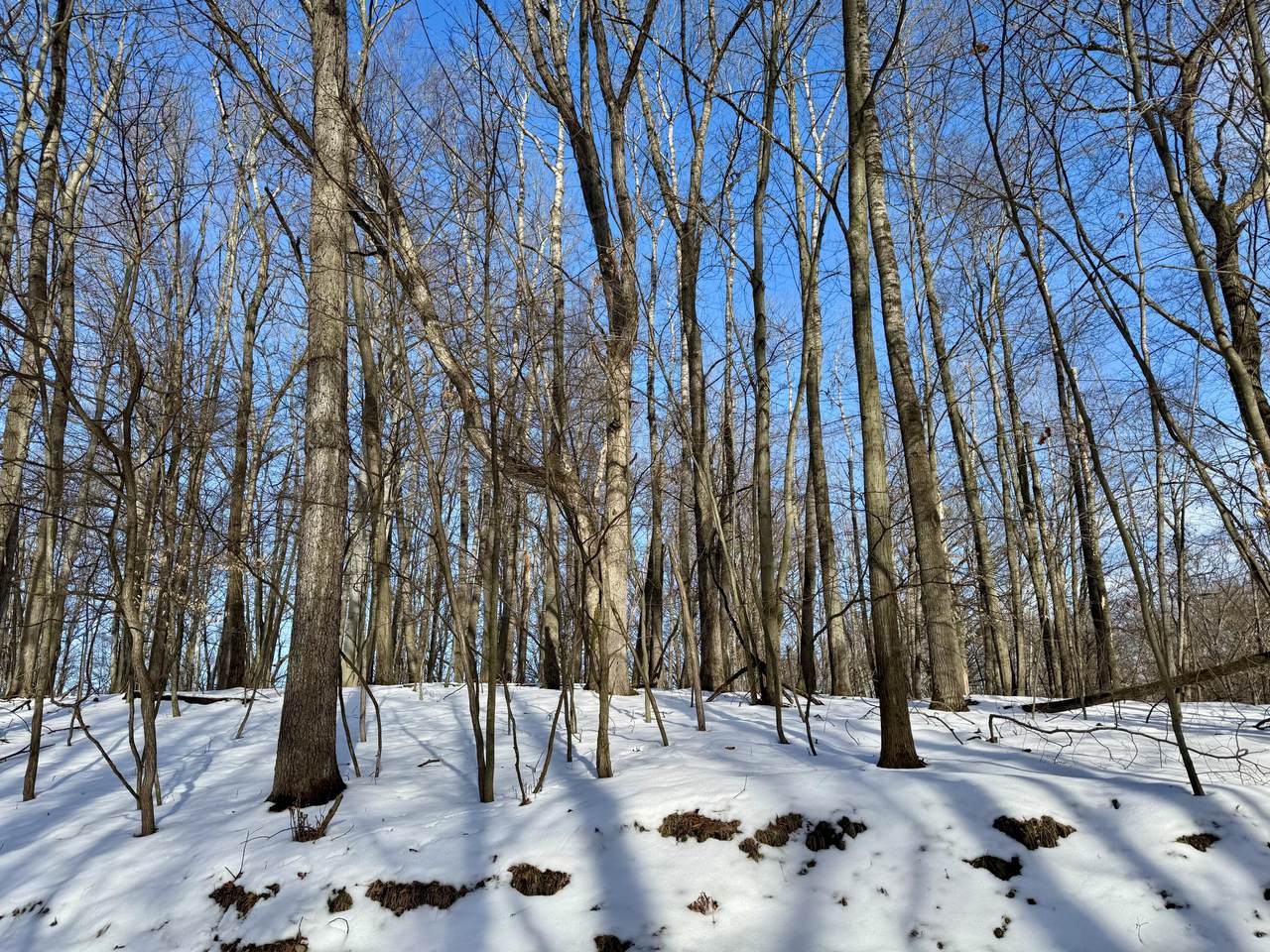 9728 Calgary Drive - Photo 1