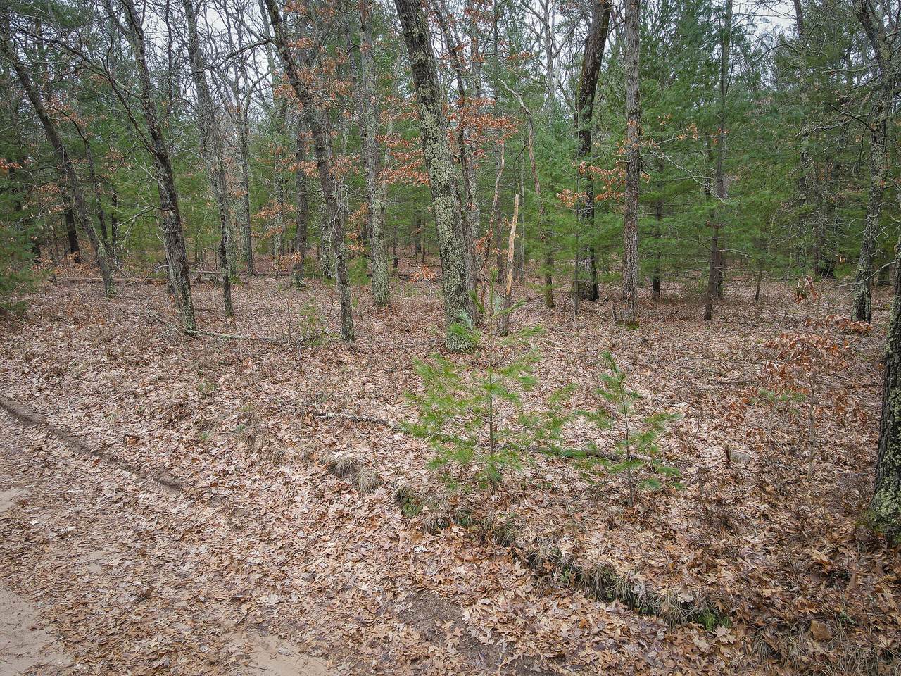 https://bt-photos.global.ssl.fastly.net/swmich/1280_boomver_1_25014945-2.jpg