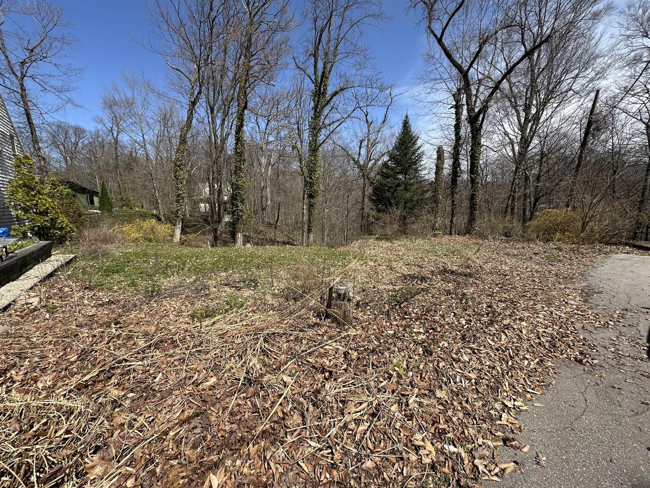 228 Higman Park - Photo 1