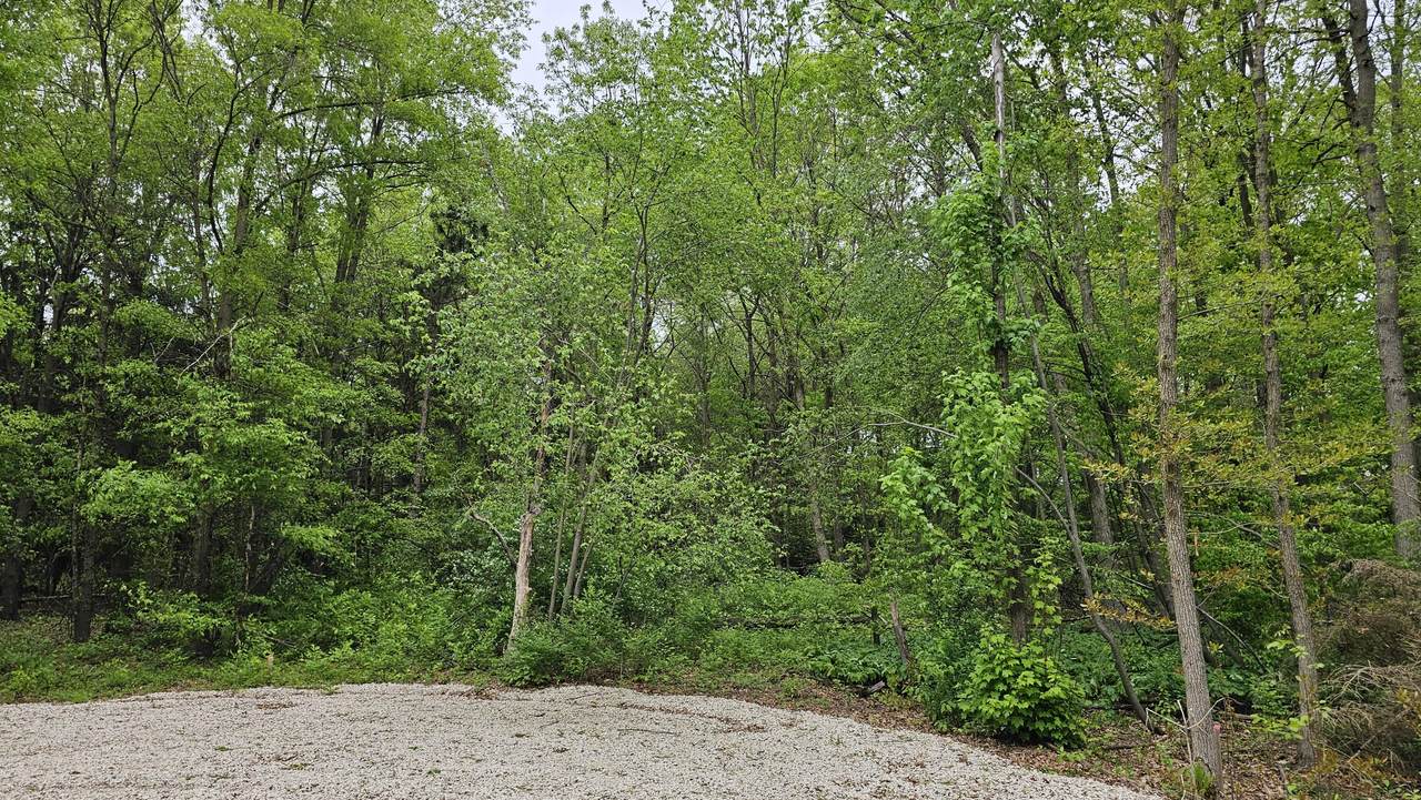 11158 Worley Dam Rd - Photo 1