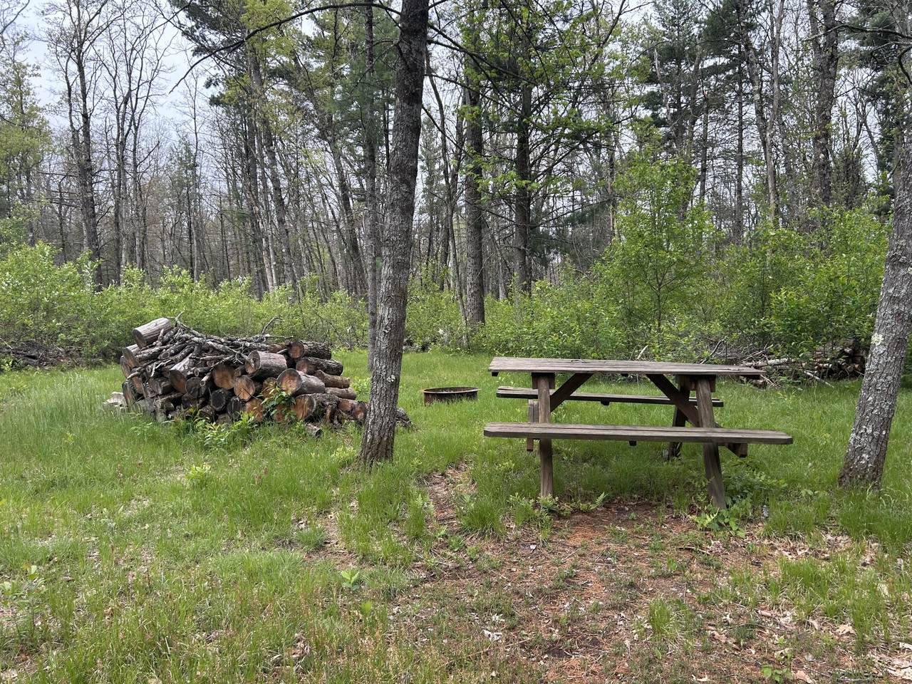 6986 Baldwin Road - Photo 1