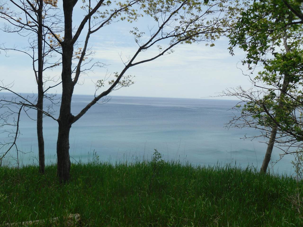  Lakeshore Drive - Photo 1