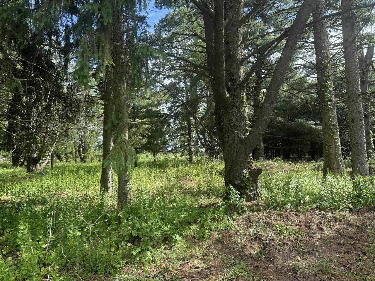 VL - LOT A Rawson Lane - Photo 1