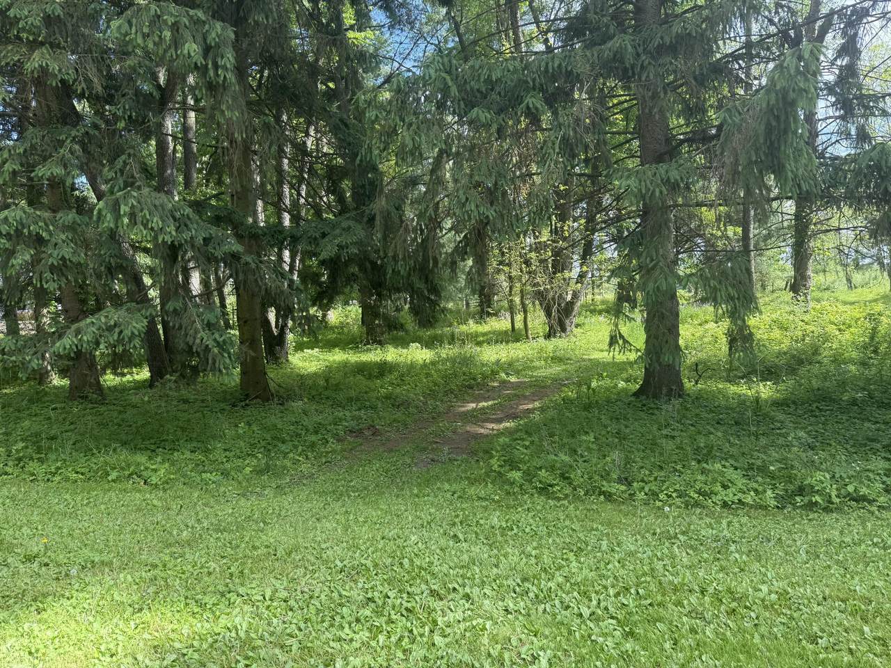 VL - B Rawson Lane - Photo 1