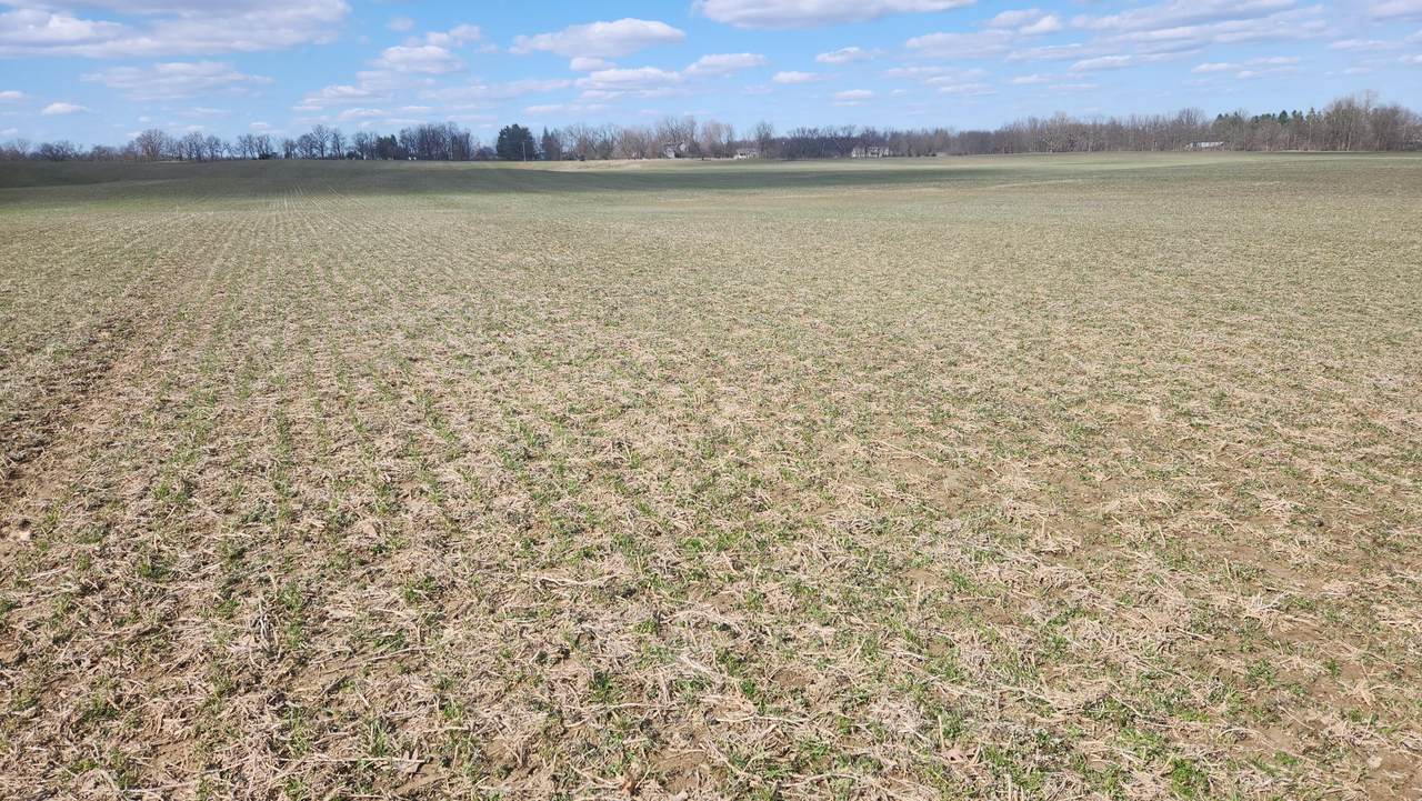 13245 Logan Road - Photo 1