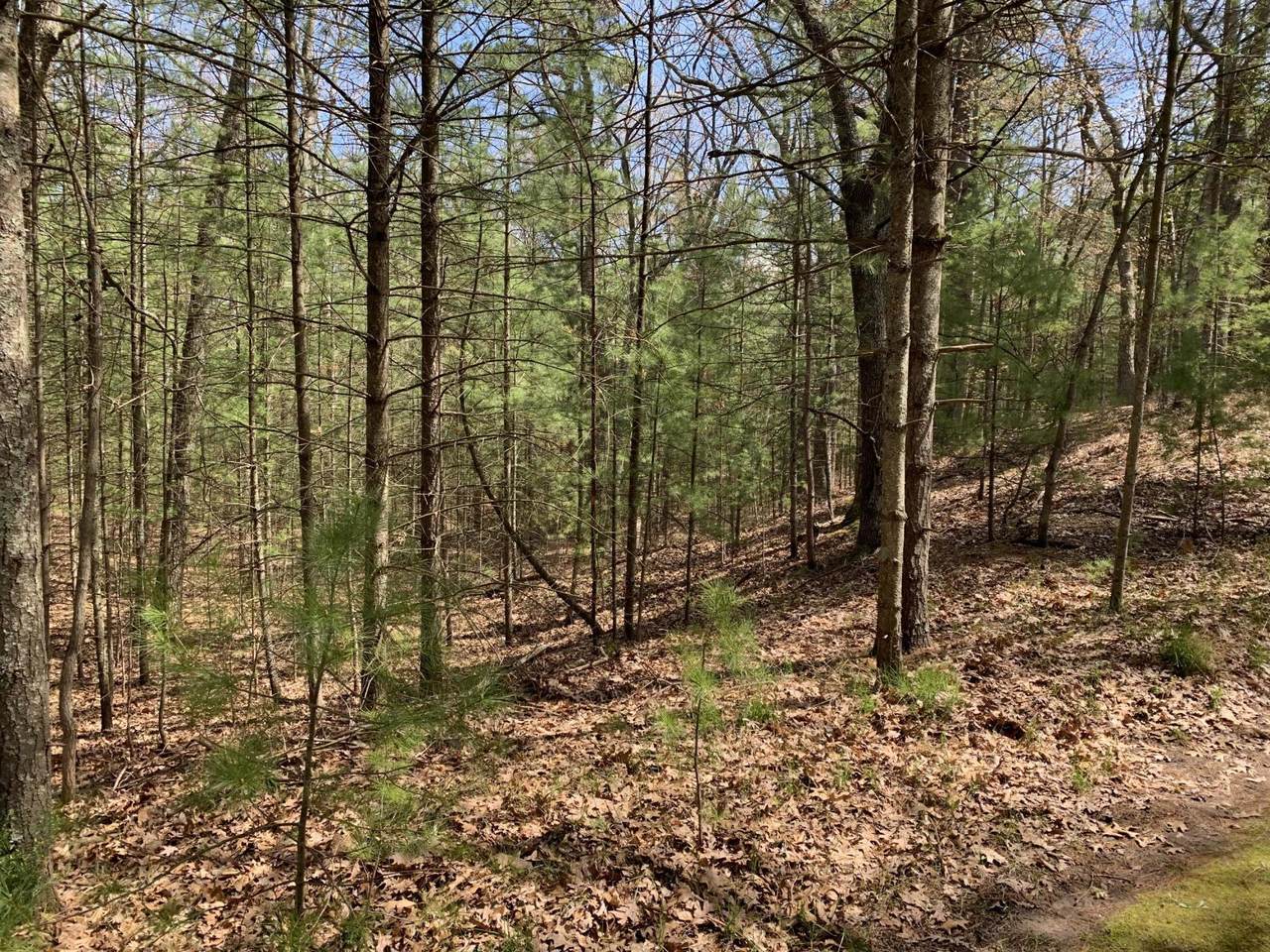  Lenox Avenue - Photo 1