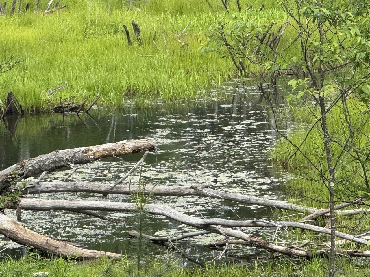  V/L 200th Ave - Photo 1