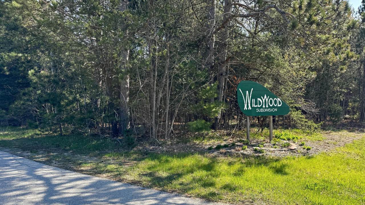 Lot 25 Whitetail Drive - Photo 1