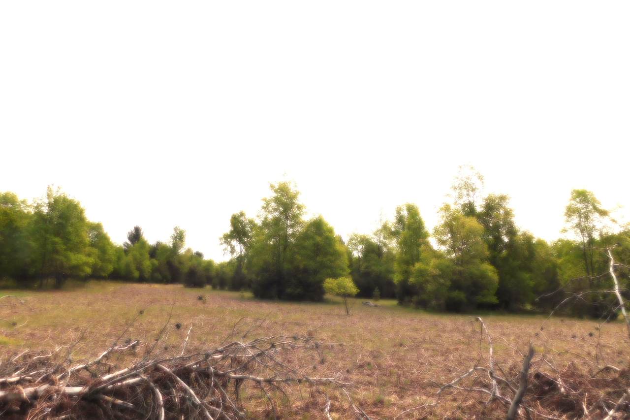 15880 Potter Road - Photo 1