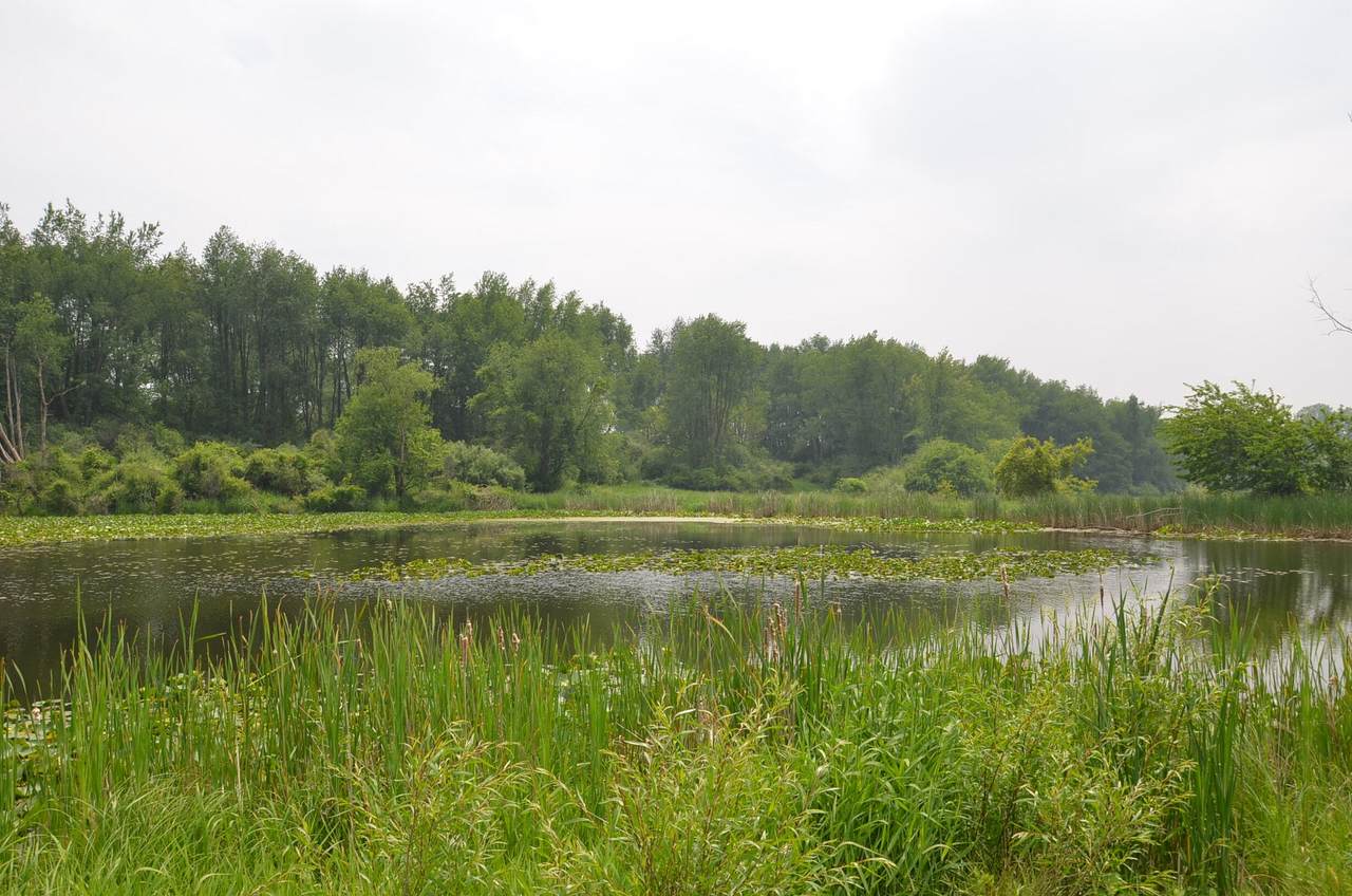 4500 42nd Street - Photo 1