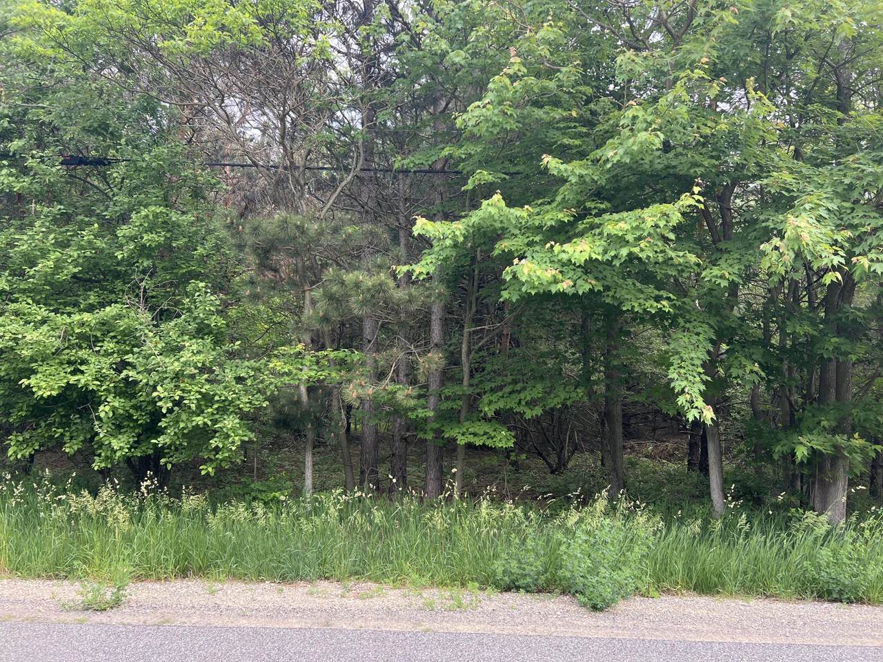 VL Bard Road Road - Photo 1