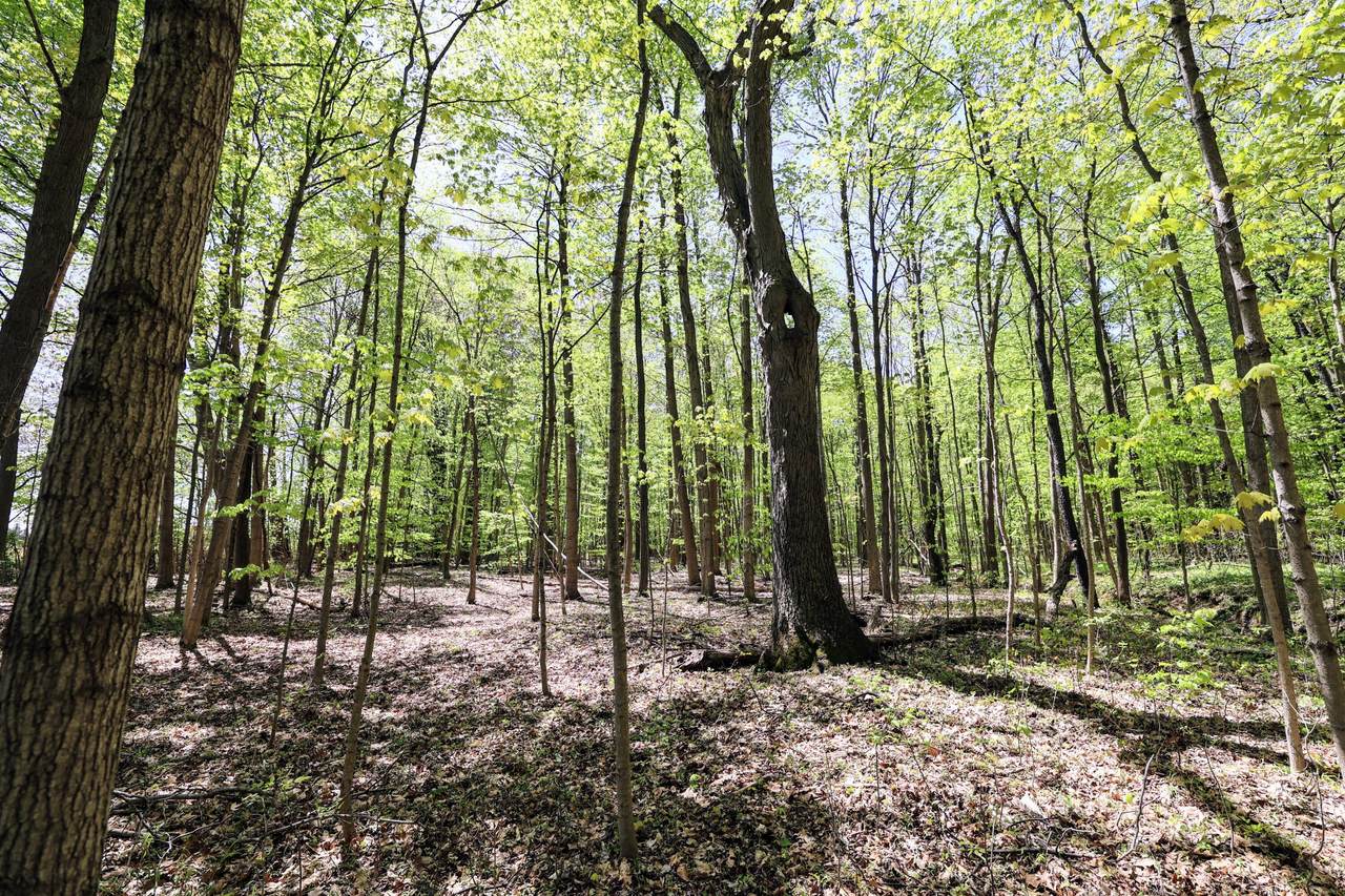 VL Benny Ct (Private) - Photo 1