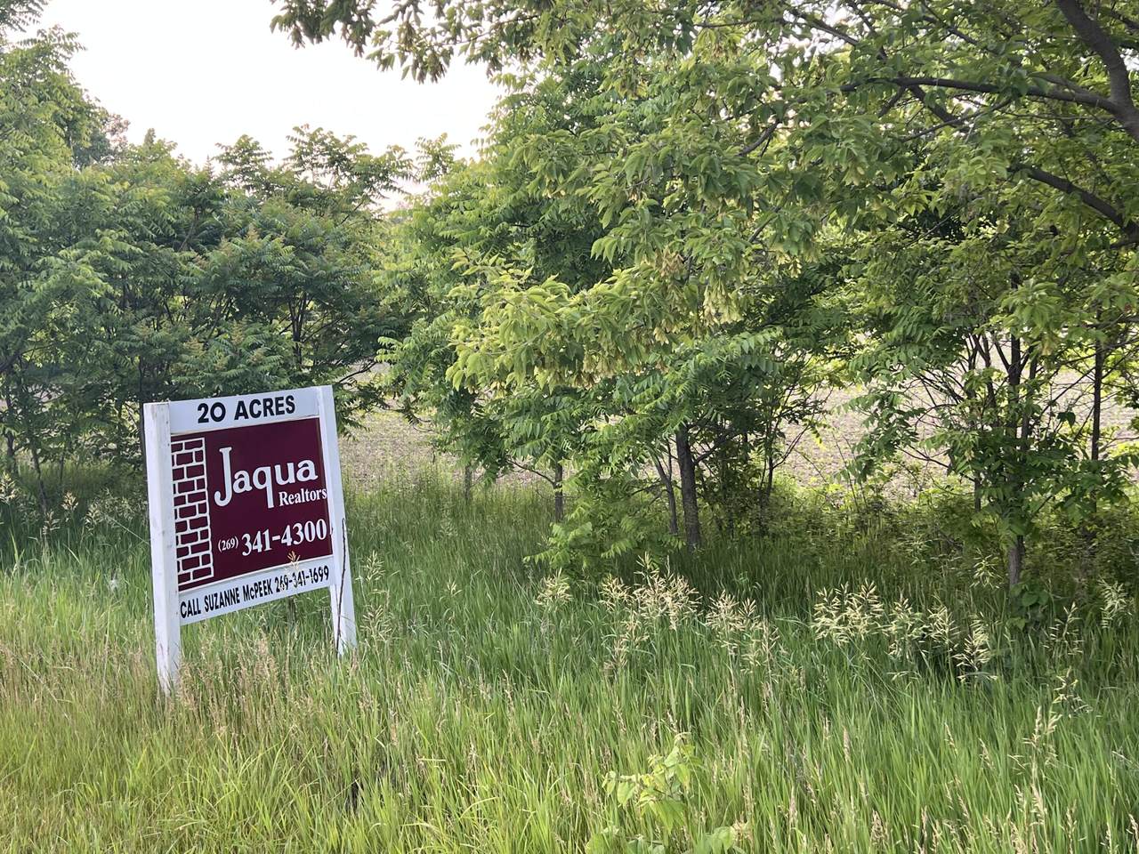 421 Battle Creek Street - Photo 1