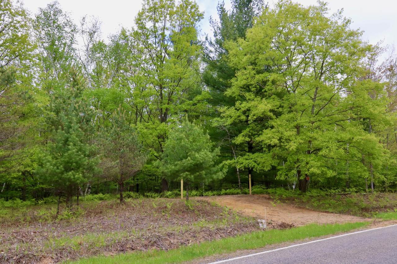 V/L Levely Road - Photo 1