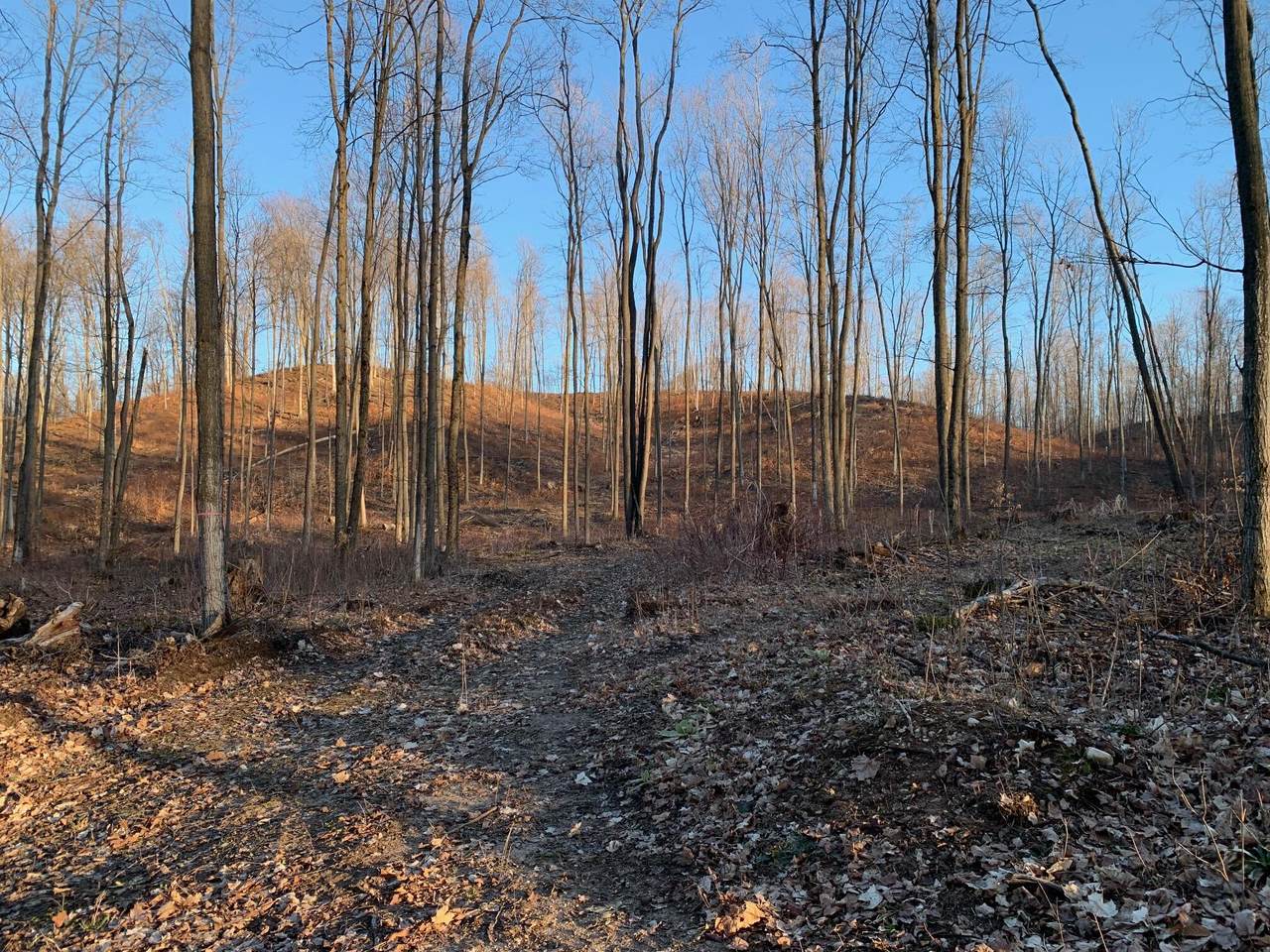  Chief ''E'' Road - Photo 1