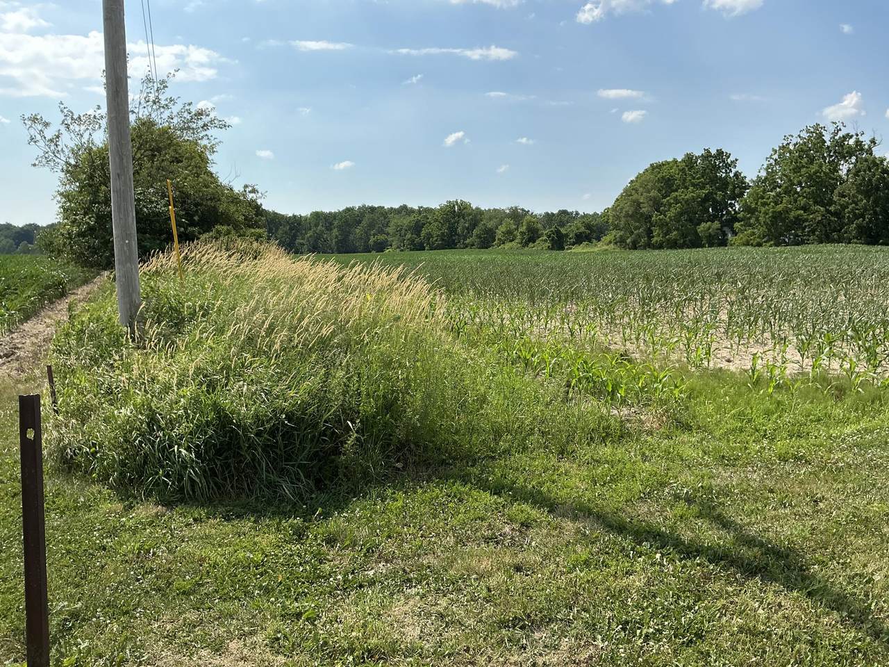 10395 Paris Avenue - Photo 1