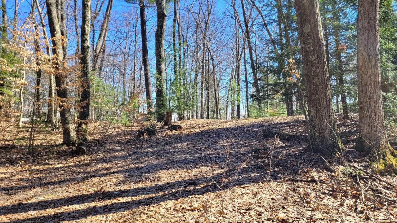 947 Locust Street - Photo 1