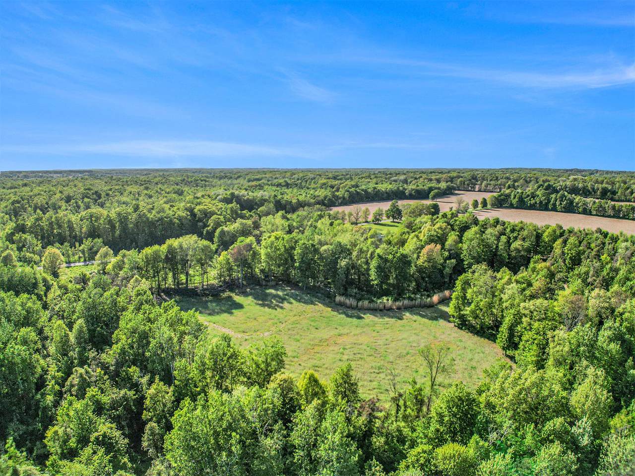 15252 27 Mile Road - Photo 1