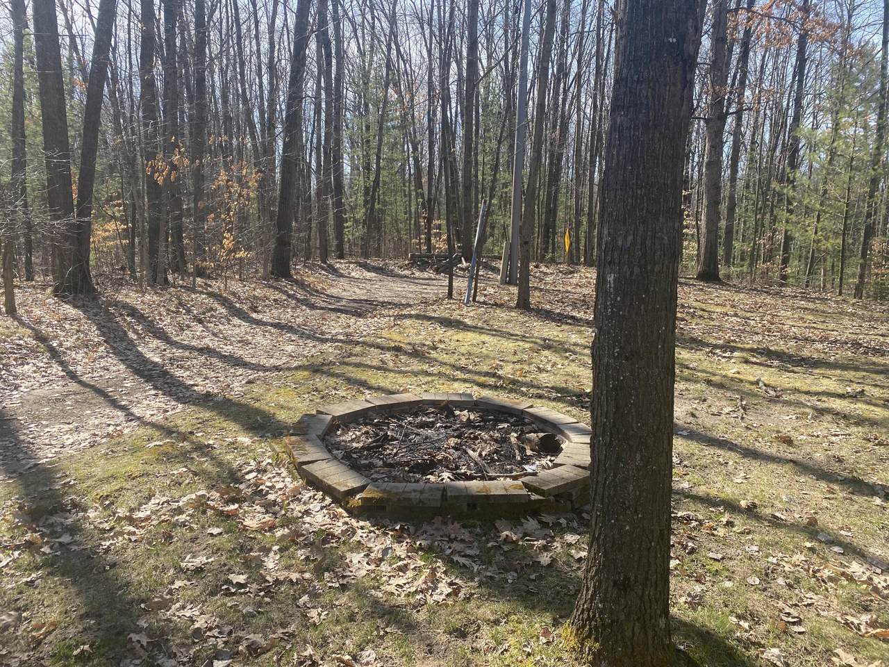 9019 John Street - Photo 1