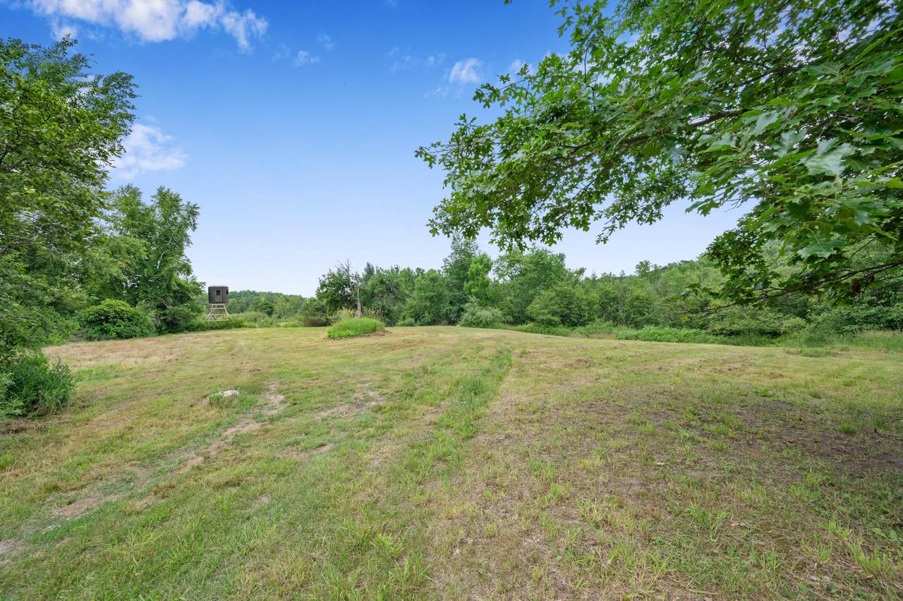 5004 N Cypress Ave - Photo 1