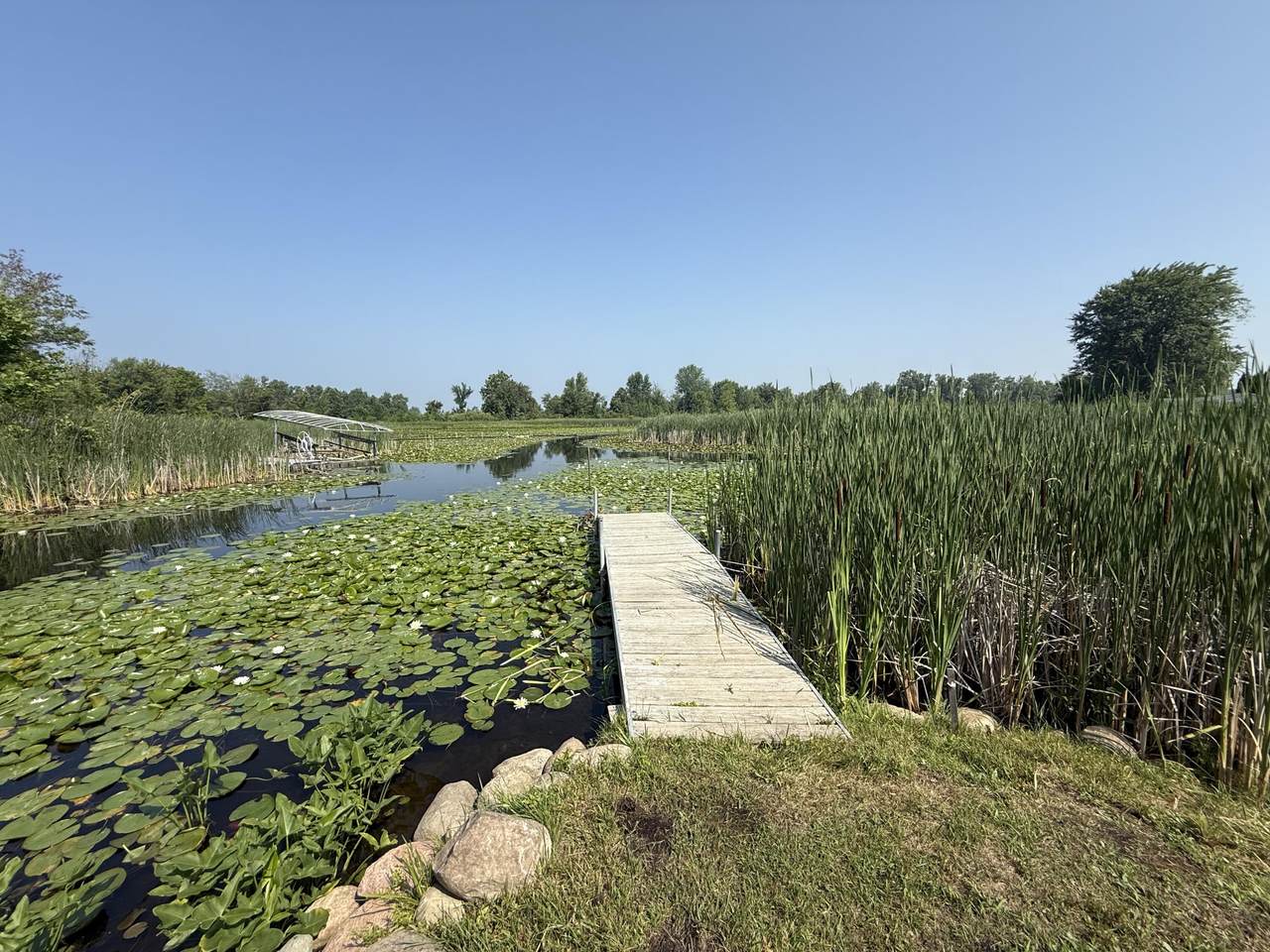 -- Leaf Lane - Photo 1