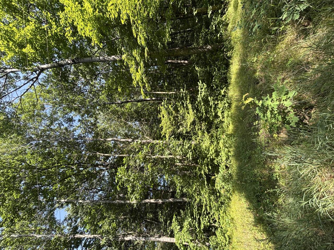 3628 Indian Trail Crossing - Photo 1