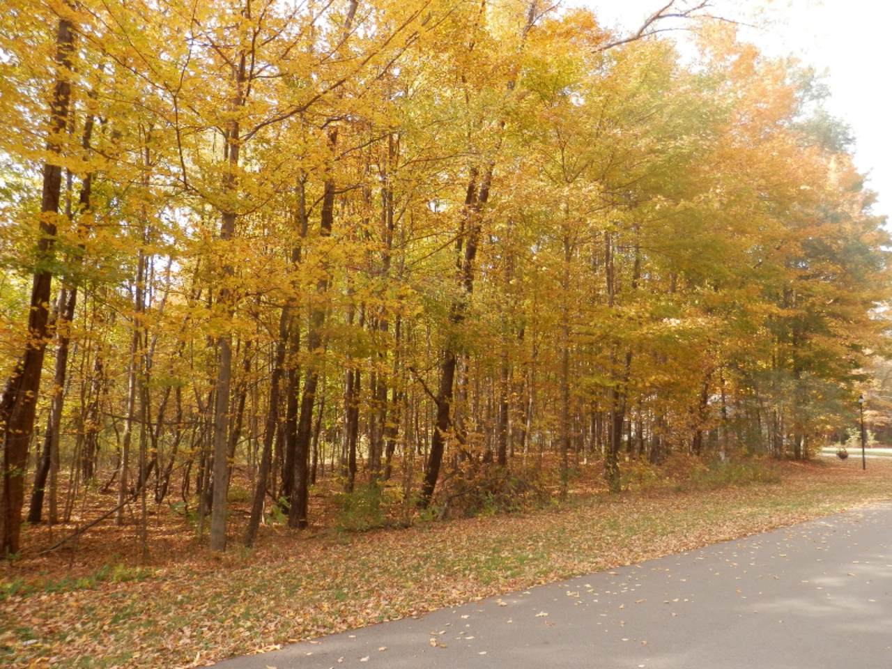 1 Harlan Drive - Photo 1