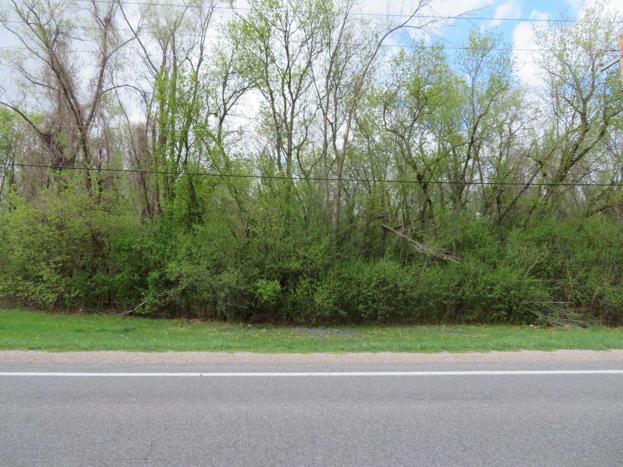 5193 Textile Road - Photo 1