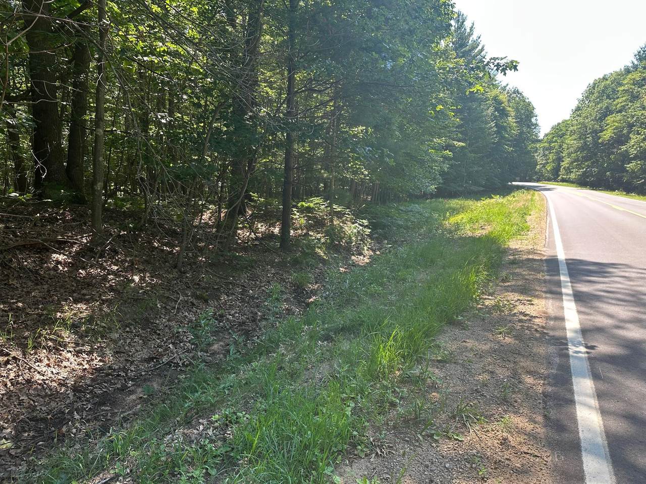  V/L Ridge Road - Photo 1